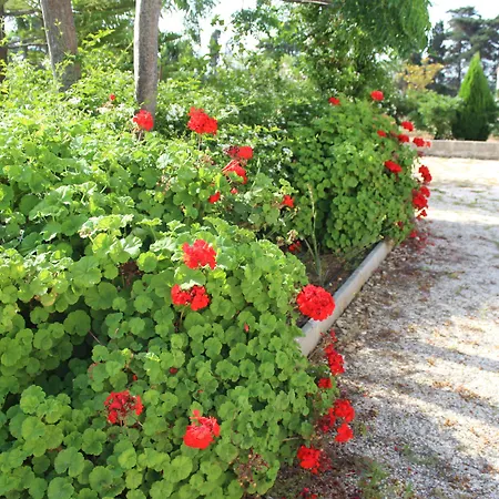 La Lanterna Delle Fate Otrante