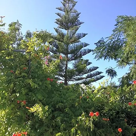 فندق مبيت وإفطار La Lanterna Delle Fate 4*