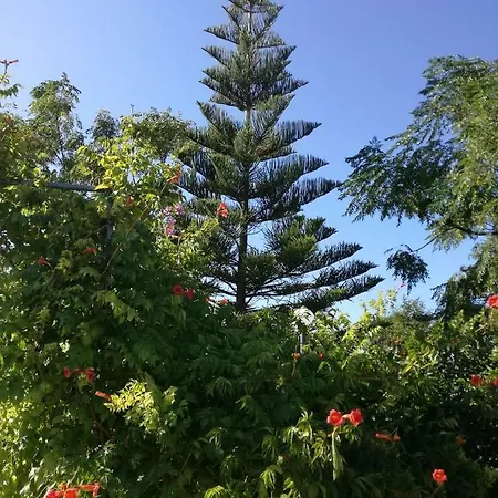 Couette-café La Lanterna Delle Fate Otrante