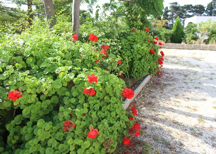 La Lanterna Delle Fate Otranto